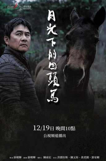 月光下的回頭馬海報