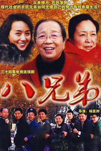 八兄弟海報