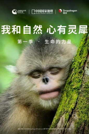 我和自然 心有靈犀海報