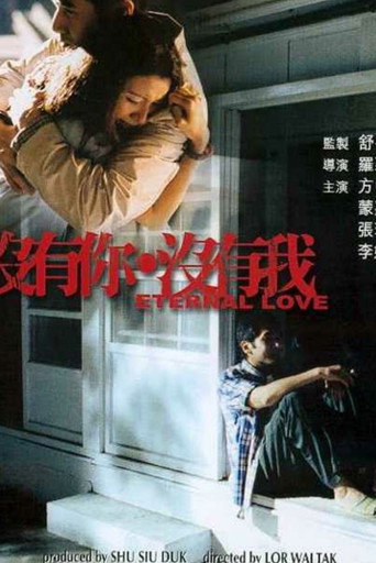 沒有你沒有我海報