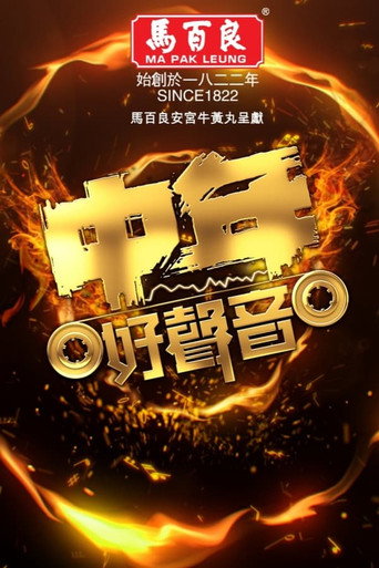 中年好聲音 中年好聲音海報