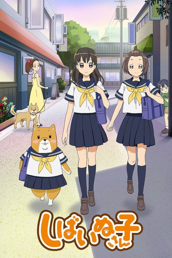 柴犬子海報