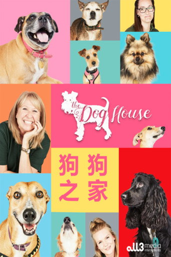 狗狗之家海報