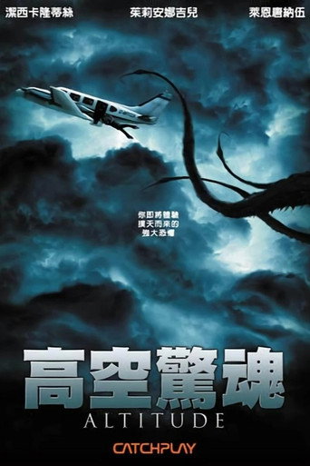 高空驚魂海報