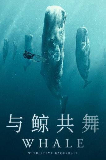 史提夫勇闖鯨豚王國海報