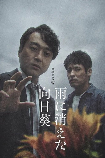 雨中消失的向日葵海報