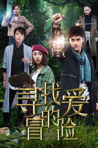 尋找愛的冒險海報