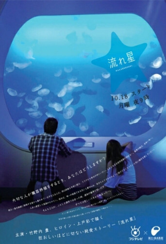 流星海報