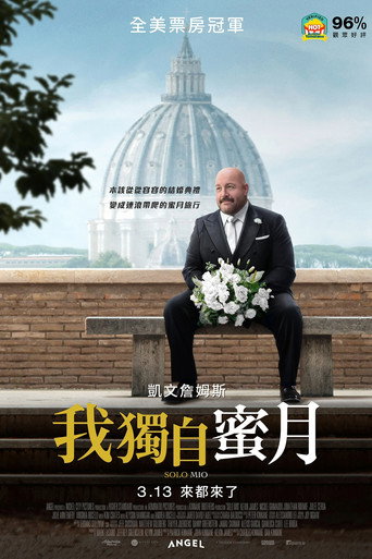 我獨自蜜月海報