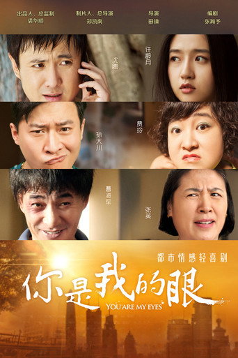 你是我的眼海報