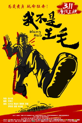 我不是王毛海報