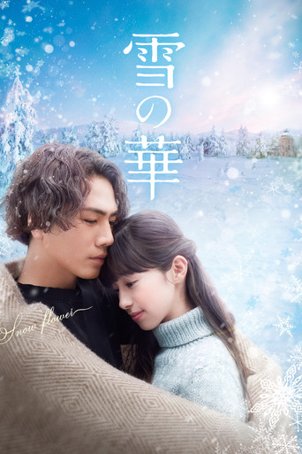 雪之華海報