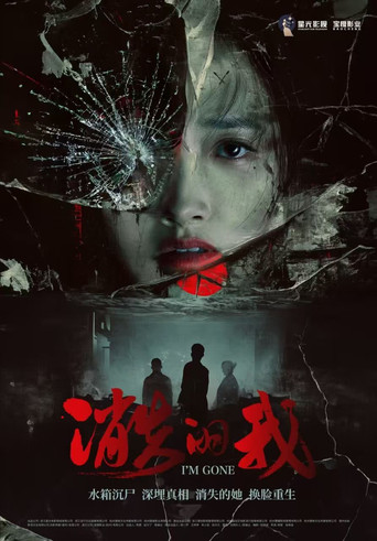 消失的我海報