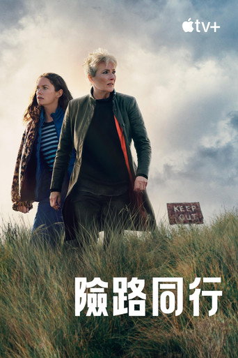 險路同行海報