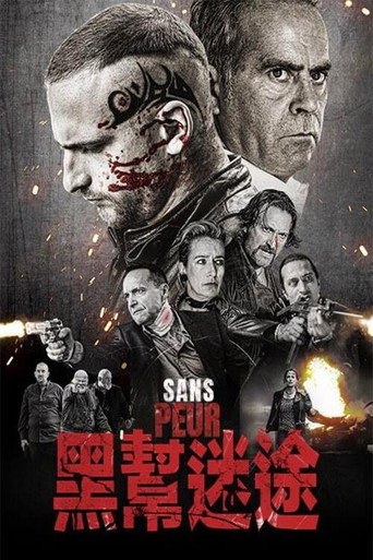 黑幫迷途海報