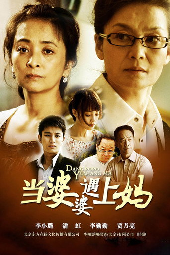 當婆婆遇上媽海報