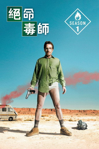 絕命毒師 第 1 季海報