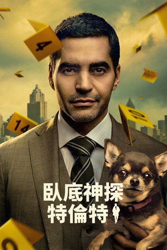 臥底神探特倫特海報