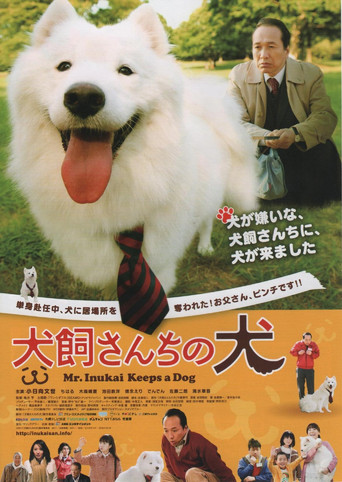犬飼先生養狗記海報