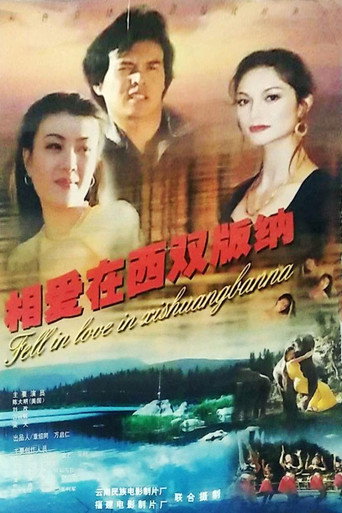 相愛在西雙版納海報