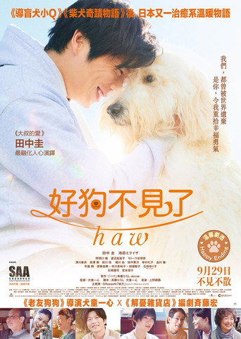 好狗不見了Haw海報