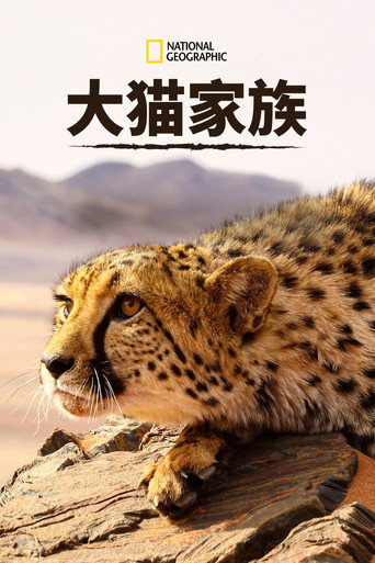 貓科動物:奇妙的動物家族海報