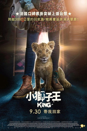 小獅子王海報