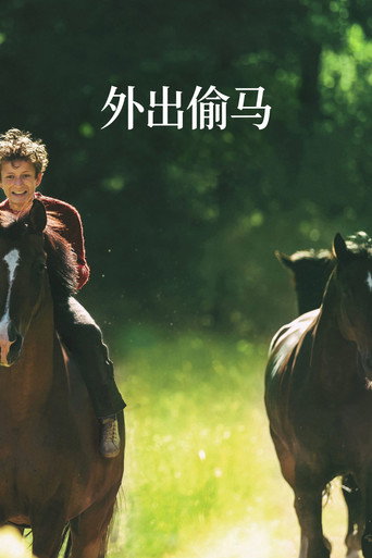 外出偷馬海報