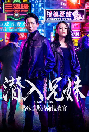 潛入兄妹 特殊詐欺特命搜查官海報