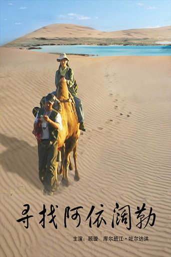 尋找阿依闊勒海報
