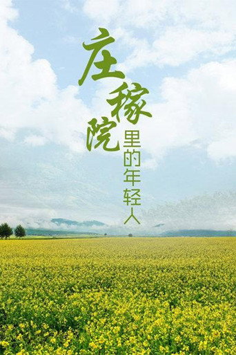 莊稼院裡的年輕人海報