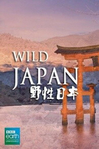 野性日本海報