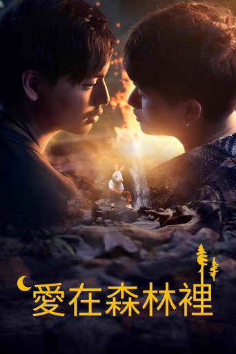 愛在森林裡海報
