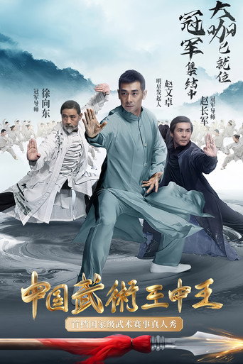 中國武術王中王海報
