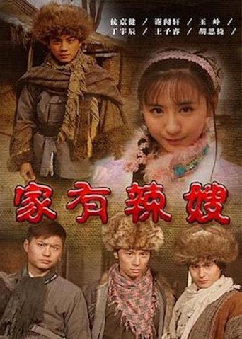 家有辣嫂海報