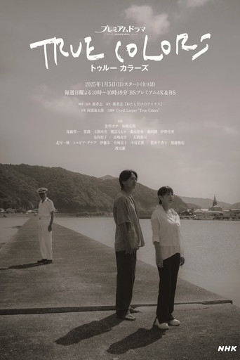 本色海報