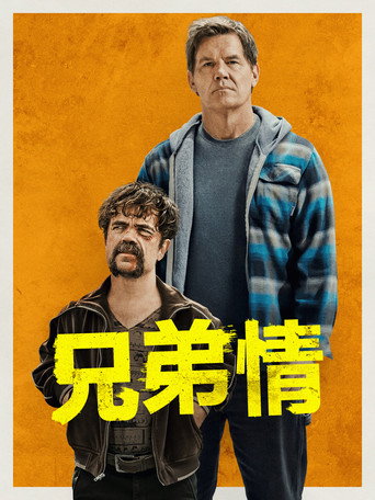 兄弟情海報