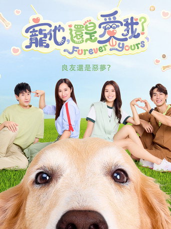 寵他,還是愛我海報