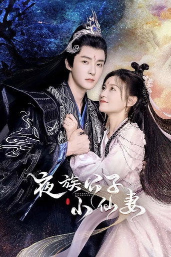 夜族公子小仙妻海報