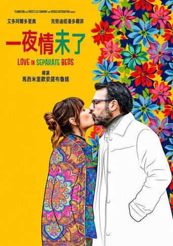 一夜情未了海報