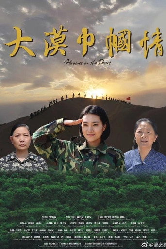大漠巾幗情海報
