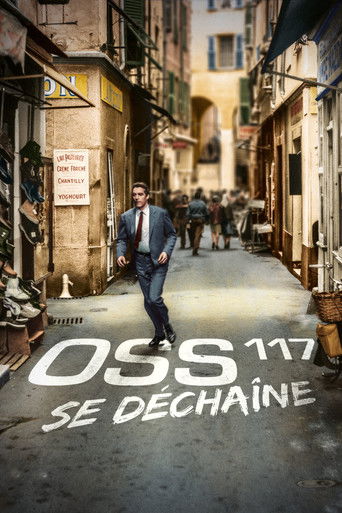 OSS117之不解之謎海報