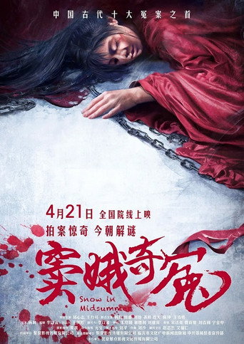 竇娥奇冤海報