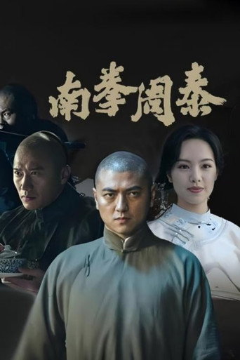 南拳周泰海報