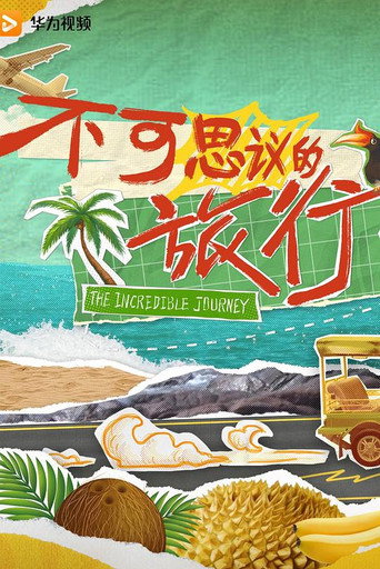 不可思議的旅行海報