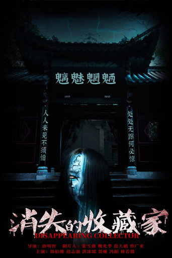 消失的收藏家海報