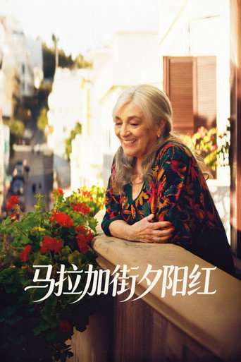 摩洛哥機智生活海報