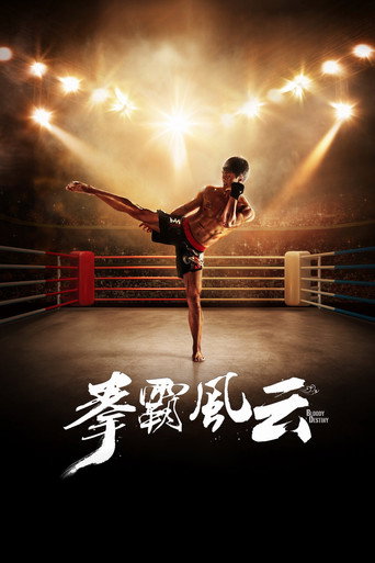 拳霸風雲海報