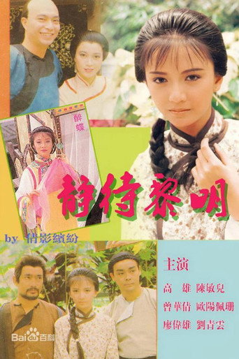 靜待黎明海報