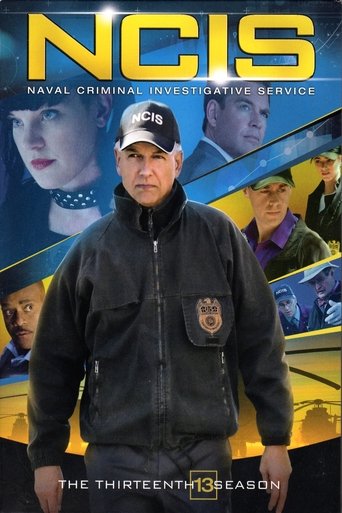 重返犯罪現場 第 13 季海報